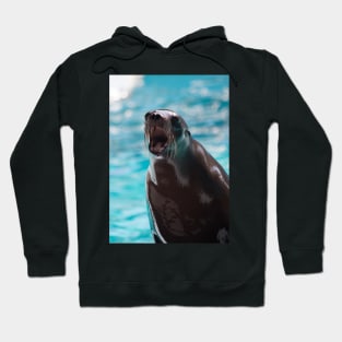 Pinniped Friend Hoodie